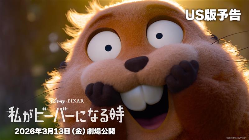 USçäºåè§£çŠïŒ ãã£ãºããŒïŒãã¯ãµãŒææ°äœ ð¡ãç§ãããŒããŒã«ãªãæãð¡ â æ¥æ¬å
¬éæ¥ã¯2026幎3æ13æ¥ïŒéïŒã«æ±ºå®ðËËË â åç©å€§å¥œããªå€§åŠçã»ã¡ã€ãã«ã ãã¥ãŒããªâªããŒããŒâ«ã«â â 倢ã«ãŸã§ã¿ãäžçã«æœå
¥ããŠç¥ã£ã åç©ãã¡ã®æãããèšç»ãšã¯âââ â æ¥æ¥ãèŠæ Œå€ã®ããµããµã¹ãã€ã¢ããã³ãã£ãŒã å¹ãéããðŠ«