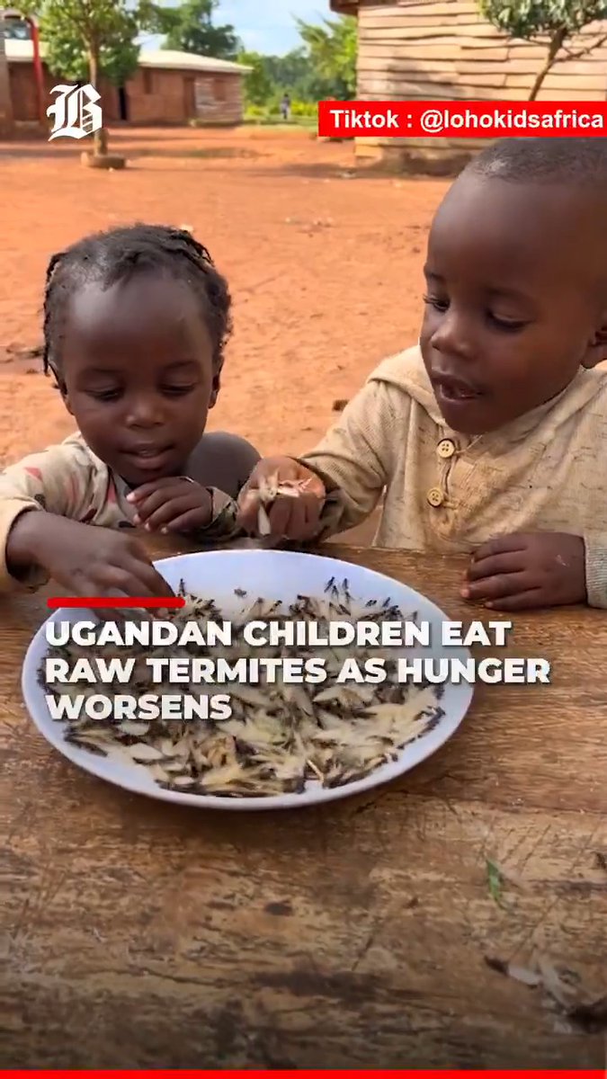Probably healthier than processed food in the US