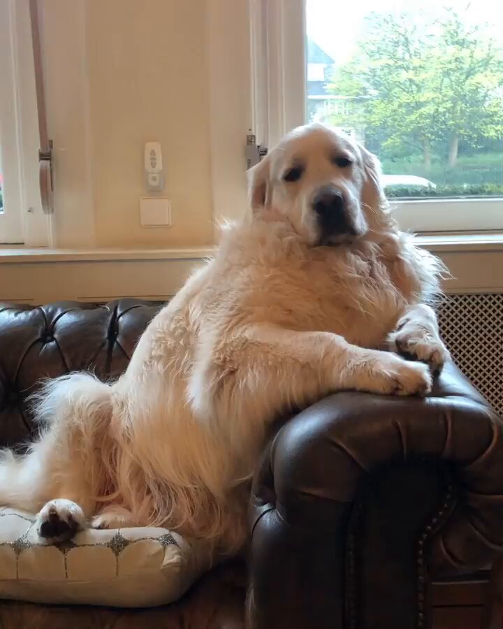 Current physique--