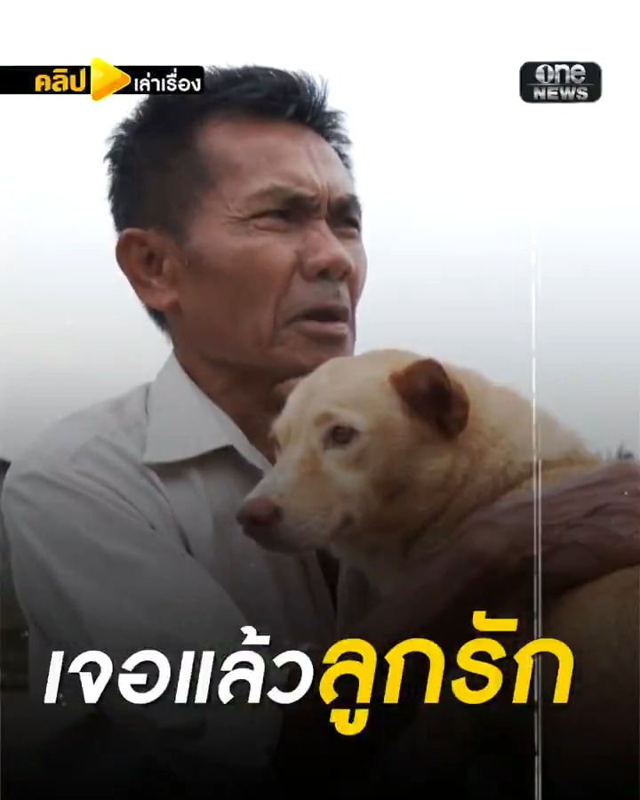 ลุงเจอลูกรักแล้ว หลังน้ำท่วมพรากจากกัน . #คลิปเล่าเรื่อง #น้ำท่วมหาดใหญ่ #น้ำท่วมใต้ #เกาะไม่ปล่อยน้ำท่วม68 #สำนักข่าววันนิวส์