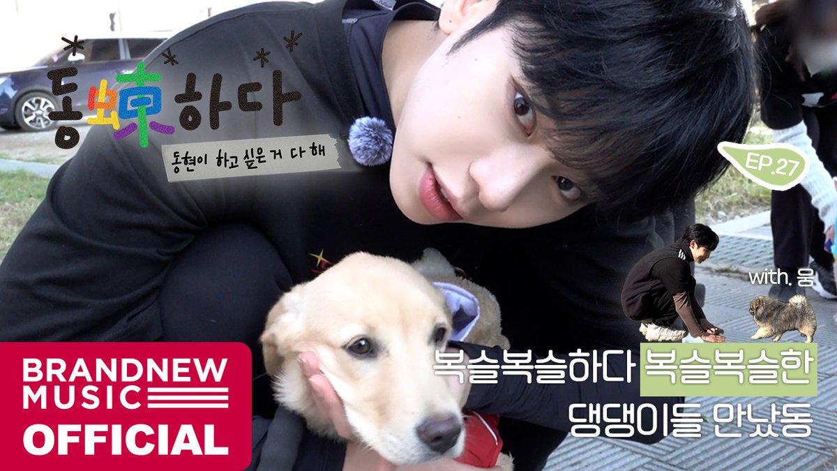 [🎥] 동동(蝀)하다 - EP.27 ABNEW랑 유기견 봉사 다녀왔동 🐾 (with.웅) 🔗 #AB6IX #에이비식스 #JEONWOONG #전웅 #KIMDONGHYUN #김동현 #동동하다