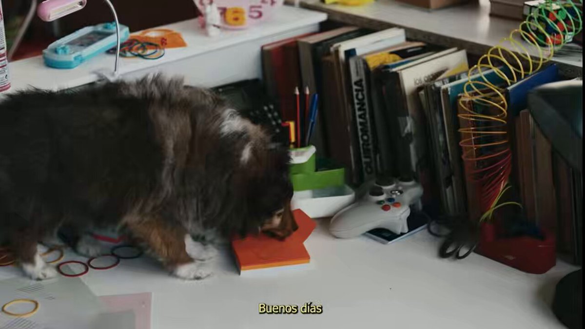 Lo siento pero después de meterme el EP como un enfermo, tengo que decir que SOÑASTE CON UN DRACO me tiene loco. No sé qué tiene este tema pero me parece una burrada. Lucho RK y La Pantera os quiero mucho joder.