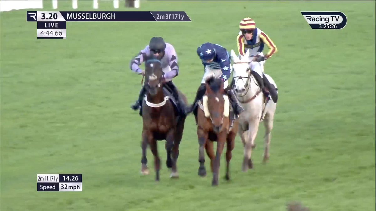 𝐒𝐩𝐞𝐞𝐝 𝐃𝐚𝐯𝐢𝐬 lives up to his name in the 100% Racing TV profits back to racing conditional jockeys' handicap hurdle Musselburgh Racecourse for Owners Group 🟣⚫️🟣 A double on the day for Donald McCain Racing and another one for the upwardly mobile Charlie Maggs 🚀