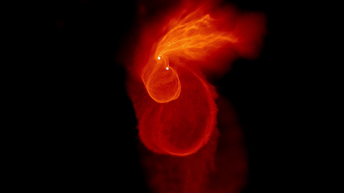 It's Black Hole Friday! This computer simulation shows a gas cloud encountering two supermassive black holes. As gravitational and frictional forces meet, the cloud condenses and heats. Each time the black holes orbit, some of the gas is ejected. Learn how scientists use data like this to improve their observations and understanding of cosmic systems: