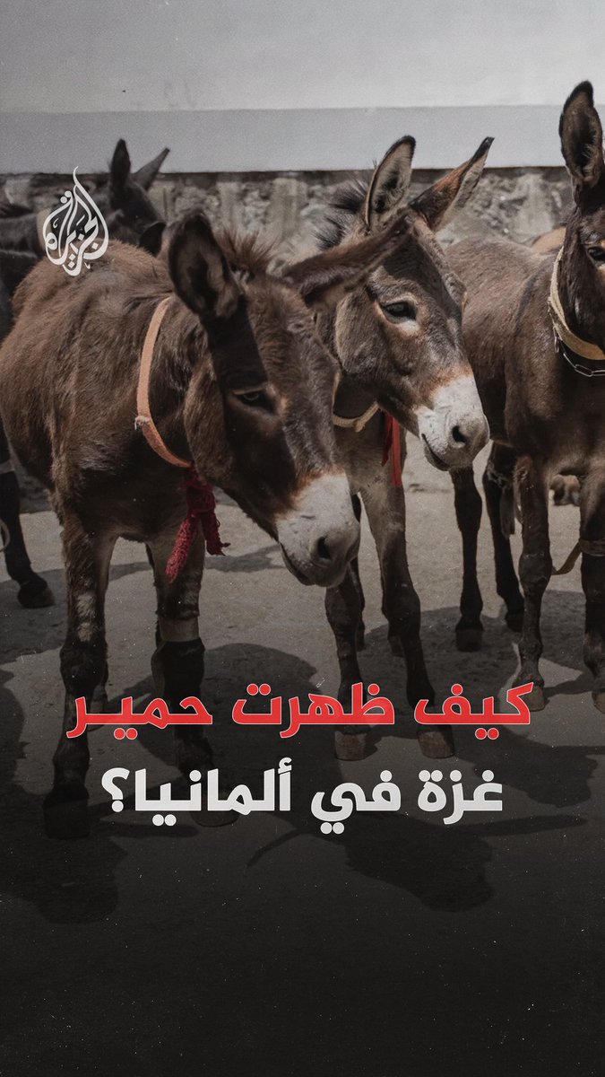 استقبلتها حديقة حيوانات في مدينة أوبنهايم.. كيف ظهرت حمير #غزة في #ألمانيا؟ #الجزيرة_رقمي
