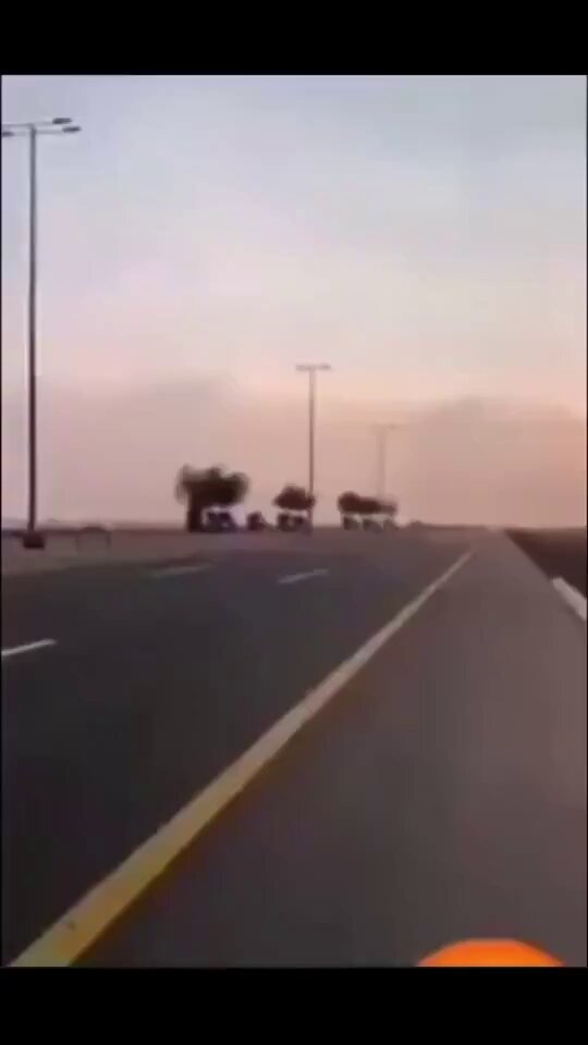 The UAE stole even the trees from Yemen’s Socotra Island!