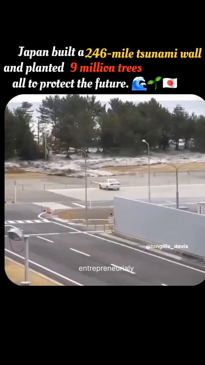 Japan built 246 - mile tsunami wall and planted 9 million trees all to protect the future.