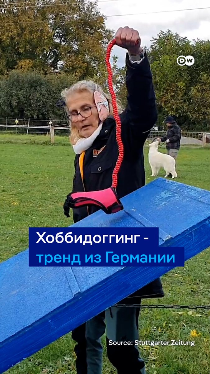 Гулять с невидимой собакой - это странно или полезно? Хоббидоггинг - новый тренд в соцсетях. Вот что про это говорят кинологи.