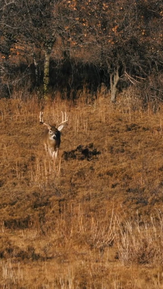 If you’re in the stand this morning… here’s hoping this is the one headed your way. #Realtree