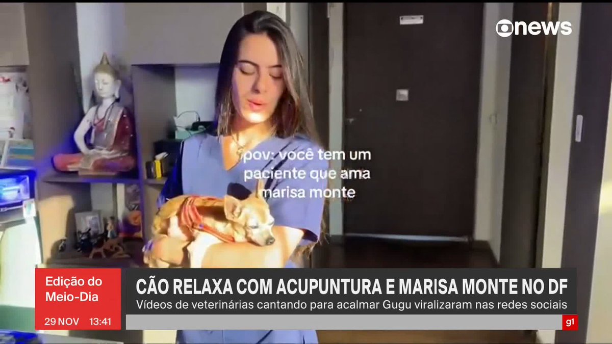 Conheça o pinscher Gugu, de 18 anos, faz acupuntura e ouve Marisa Monte para lidar com estresse. #JornalGloboNews ➡️ Assista à #GloboNews: