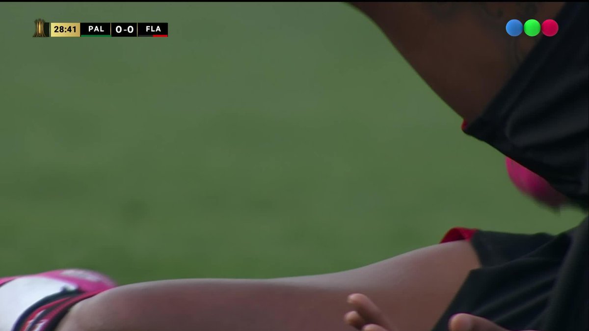 Todo Palmeiras pidió EXPULSIÓN para Pulgar. ¿Opiniones?