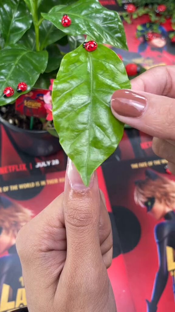real leaf nail extension in duck shape