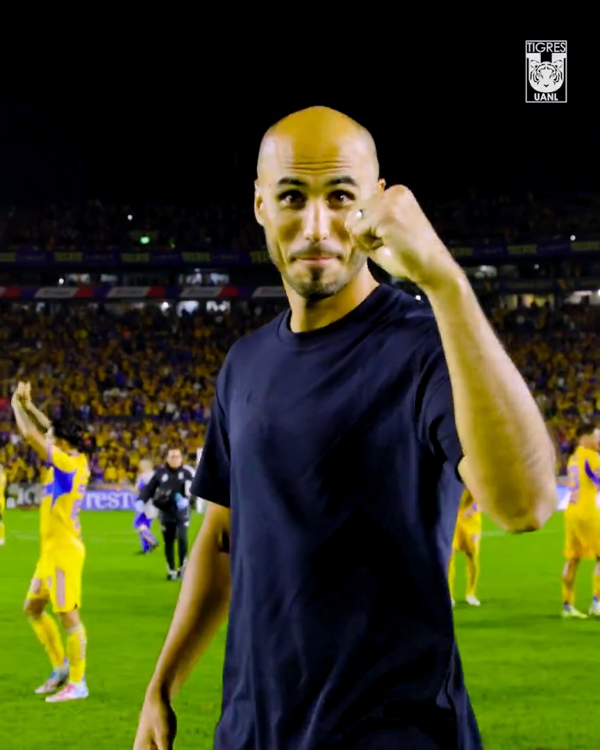 😍🐯 ¡Vaya noche, equipo, vaya noche!