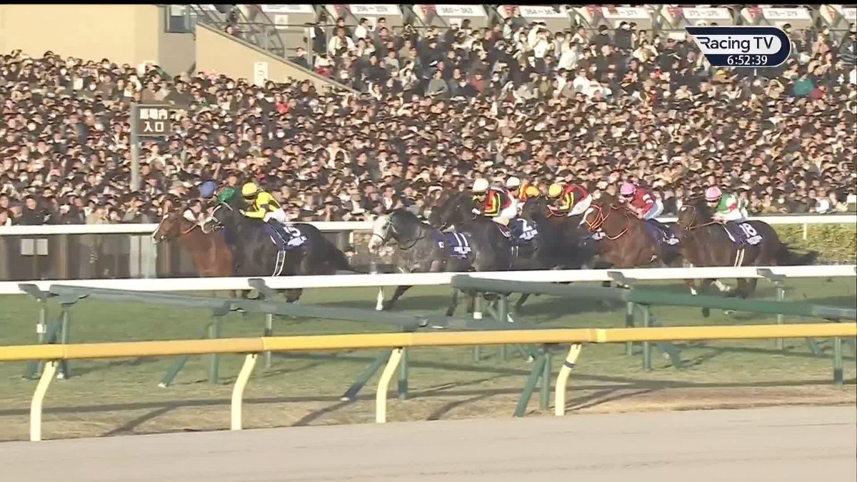 WHAT a season 𝐅𝐫𝐚𝐧𝐜𝐢𝐬-𝐇𝐞𝐧𝐫𝐢 𝐆𝐫𝐚𝐟𝐟𝐚𝐫𝐝 🇫🇷 ☑️ Japan Cup ☑️ Breeders' Cup Filly &amp; Mare Turf ☑️ Prix de l'Arc de Triomphe ☑️ King George VI &amp; Queen Elizabeth Stakes ☑️ Champion Stakes ☑️ Prix de Diane ☑️ Grosser Preis von Baden ☑️ Prix du Moulin ☑️ Prix Marcel Boussac