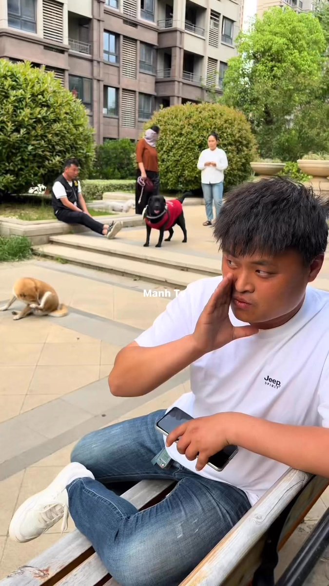 How are these dogs not hearing the direction of the sound?