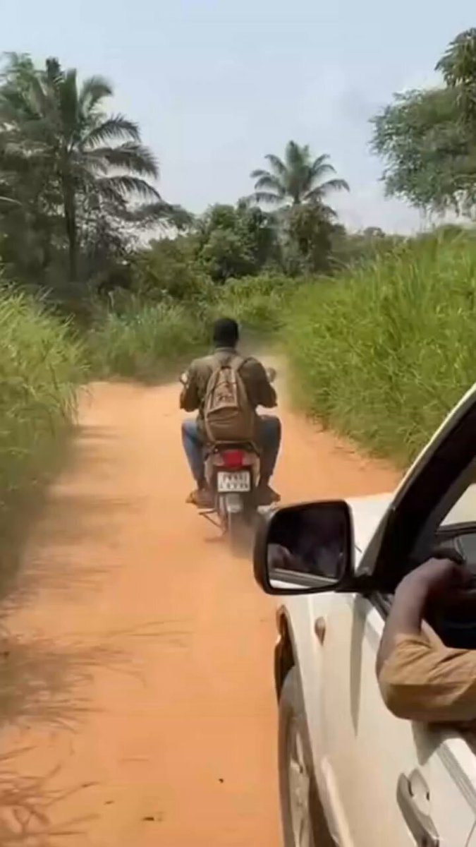 Omg what did I just watch?😮. Jaguar attack a motorcyclist. I hope he is okay tho