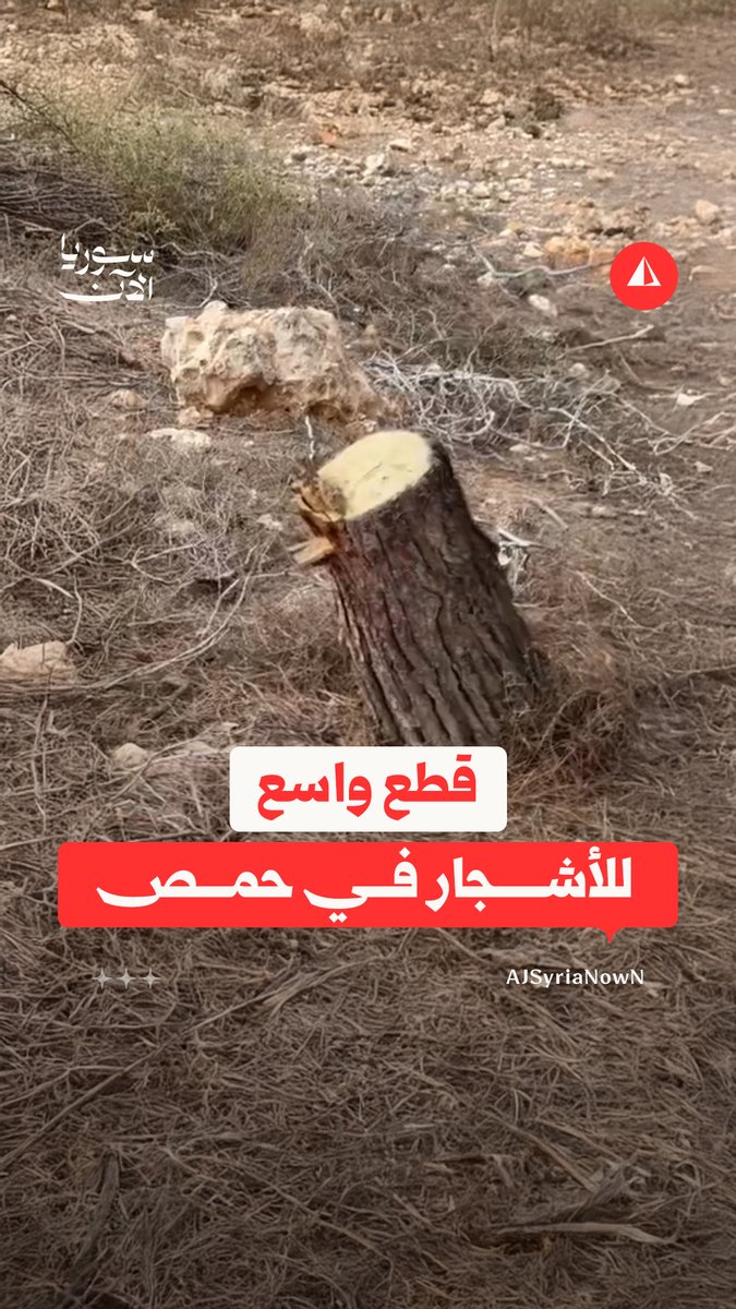 "هدول مجرمين".. تسجيل مصوّر يوثّق قطع عدد كبير من الأشجار على جانبي طريق حلب ـ دمشق قرب منطقة حسياء في ريف حمص