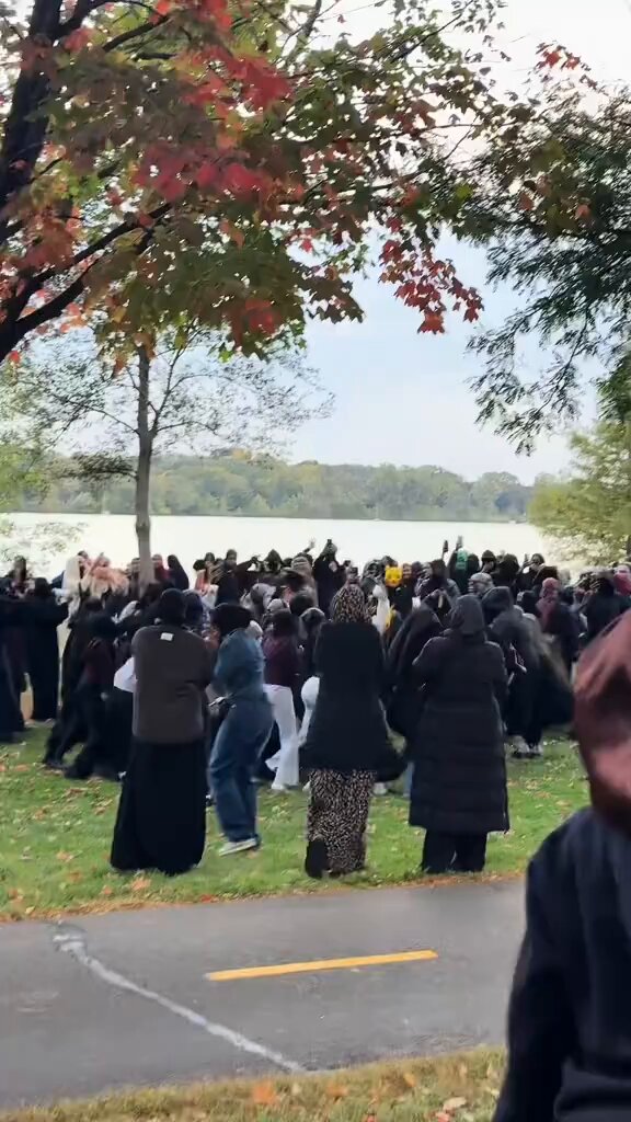 This is not the America I envision for my children. Screaming islamists took over a park in Minnesota, making it unusable for any regular American. Deporting these third worlders should be the top priority.