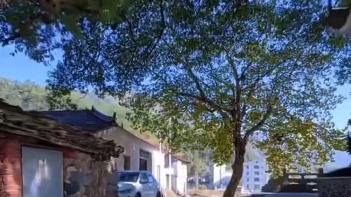 黄仁勋的祖籍找到了？传说世界华人首富黄仁勋的父亲黄兴泰，于1930年出生于浙江省丽水市青田县山口镇大安村，说那里一间破房子，就是他家祖屋。能否改建成博物馆？黄兴泰1945年迁往台湾谋生。老黄的母亲罗彩秀，出自台南的名门望族。当然，黄仁勋的成功跟罗家关系不大。黄仁勋有两个世界纪录：一是创建了世界市值最大公司英伟达(NVDA)；二是成为世界华人首富。黄仁勋自己这样概括：出生在台湾，上学在美国，赚钱在美国，第一桶金靠日本，发展靠老乡张忠谋。