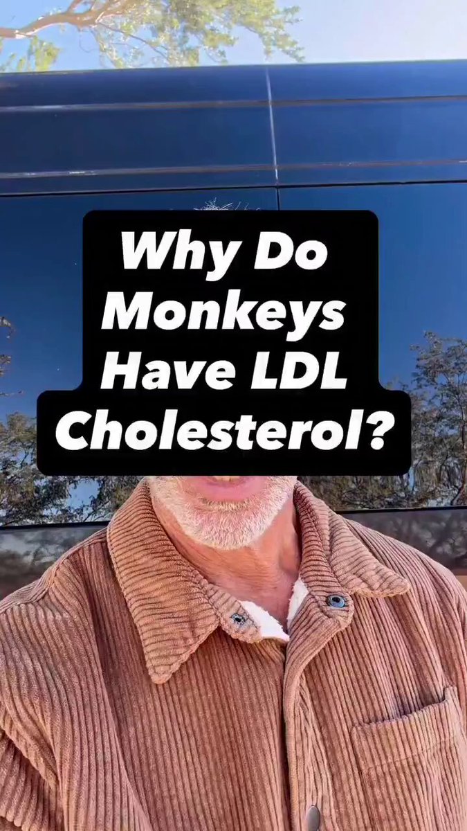 "LDL & Cholesterol Is Not Bad...It Is A Blessing & An Amazing Molecule." Dr Jack Wolfson "Every Animal With A Spine Has LDL & They're Not Dying Of Heart Attacks" "Big Pharma & Their Minions Sold You A Pack Of Lies" "LDL Has A Purpose & Shouldn't Be Lowered With Poison Drugs" 🔥 High LDL? Your Body's MVP! 🚀 Ditch the statin scare — here’s why LDL is your longevity hack. 🛞 Vitamin Delivery Boss: Transports A, D, E, K to fuel your cells — strong bones, sharp vision, immune armor! 🛞 Membrane Guardian: Keeps cell walls rock-solid & electron flow humming — stable energy, no crashes! 🛞 Antioxidant Express: Hauls Vitamin E to crush oxidative stress — age slower, live bolder! 🛞 Hormone Factory: Raw fuel for ALL steroid hormones — testosterone, estrogen, cortisol. Balance your vibe! 🛞 Energy Flex Master: Drops triglycerides for metabolic magic — burn fat, adapt fast, stay fueled 24/7! 🛞 Immunity Shield: Neutralizes toxins & backs innate defense — sick days canceled! 🛞 Signaling Architect: Builds lipid rafts for epic cell comms & redox harmony — smarter brain, smoother ops! 🛞 Water Structurer: Shapes membrane hydration for electric charge — cellular glow-up! 🛞 Repair Crew Chief: Supplies cholesterol to fix tissues & membranes — wounds heal fast, arteries stay supple! Higher LDL = Longer Life + Lower Dementia Risk. Drop seed oils, eat real food, lift heavy. The biomarker that matters is TG/HDL ratio which should be less than 1.5 Low triglycerides & high HDL signals true heart health. #HighLDLHero #CholesterolTruth #LDLLongevity