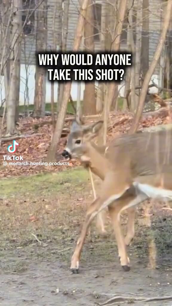 If you can't aim a bow or rifle, you should not be taking any shots at live animals. It's cruel. If it's intentional, it's much worse. Be ethical.