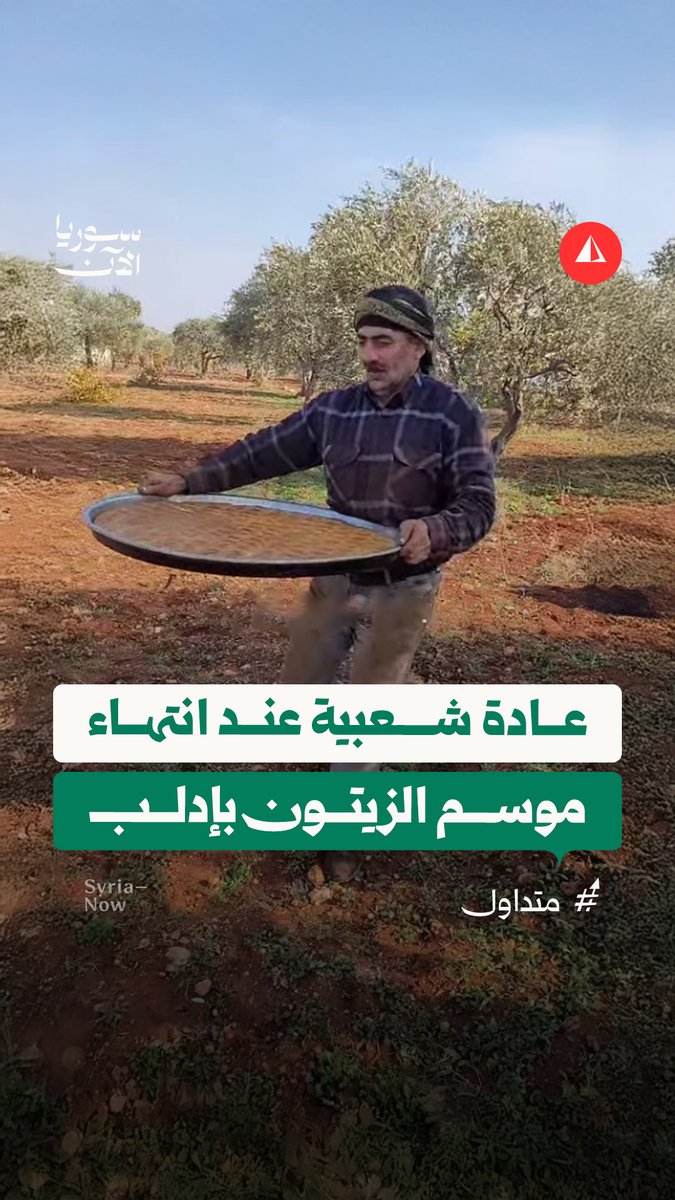 "شغلة تانية غير الزنانة".. موروث شعبي يحافظ عليه أهالي إدلب عند الانتهاء من موسم قطاف الزيتون، فهل سمعت به من قبل؟
