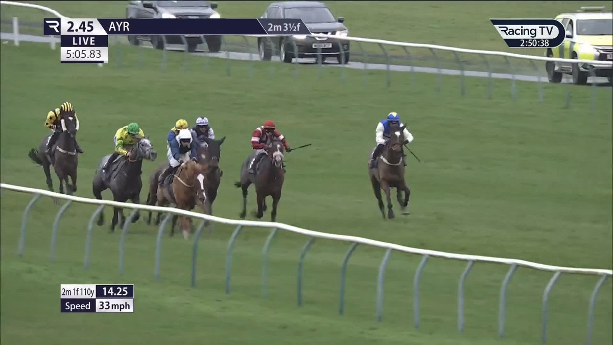 The great game 😆 King Gris, beaten a total of 187 lengths in three novice events, goes off 4-11F on handicap/stable debut and duly obliges. He's been given three further entries this week! Gordon Elliott | Sean Bowen
