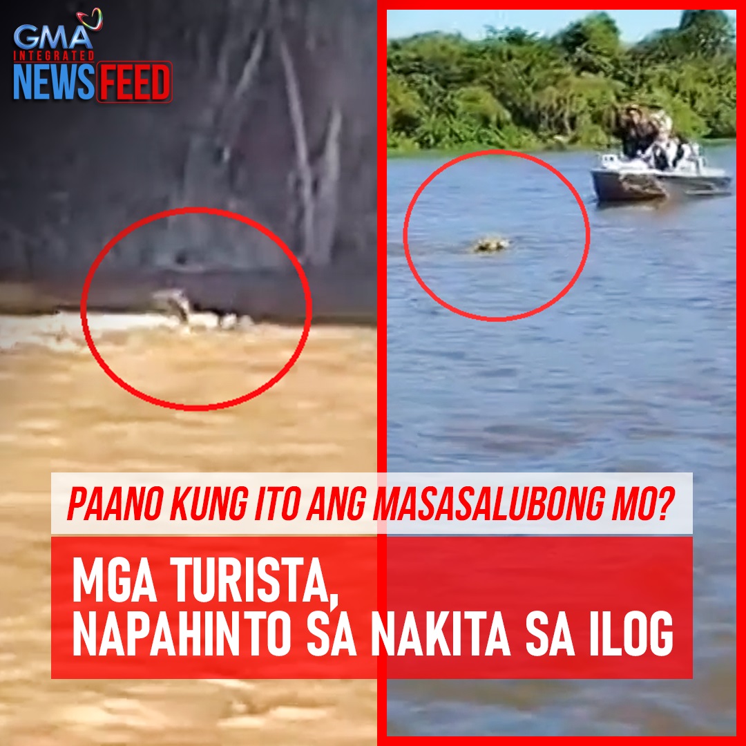 Buwaya ang inaasahang makita sa ilog, pero iba ang nakasalubong ng mga turistang sakay ng bangka! Napahinto sila dahil sa magkahalong kaba at pagkamangha. Kung ano ang kanilang namataan, panoorin sa video!