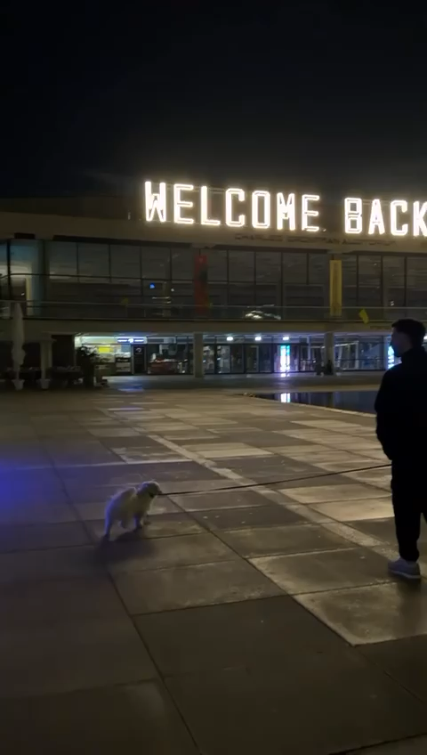 “Every day is like a miracle. I returned home 🤍🇮🇱” Former hostage Gali Berman posts a short video of himself walking his dog next to the sign that once read BRING THEM HOME. He just returned to Israel from a trip to the United States, but his words, and his small act of routine and freedom, mean so much more. I don’t think I’ll ever not be moved to see the hostages home, living their lives. As it should be.