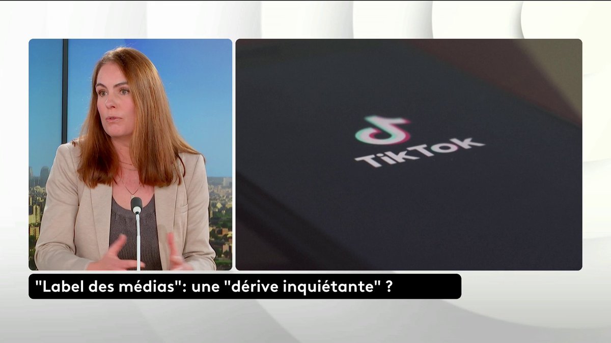 🔴 "Quand on a 80 % des médias qui sont détenus par neuf milliardaires, on peut se poser la question de qui détient l'information" : Olga Givernet, députée EPR de l'Ain. E.Macron veut labelliser les médias pour lutter contre les fausses informations. #ToutEstPolitique #Canal16