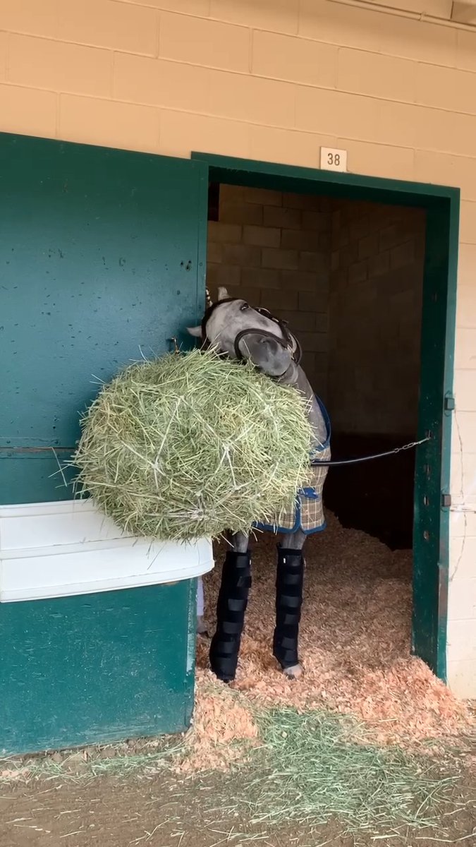 How we feel returning to the office after Thanksgiving break! 😴