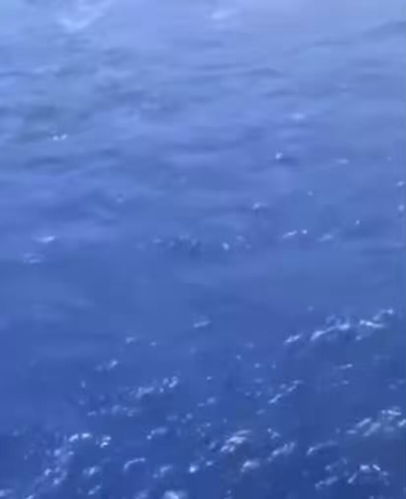 Sub spotted by a German helo during RIMPAC exercises in 2024.
