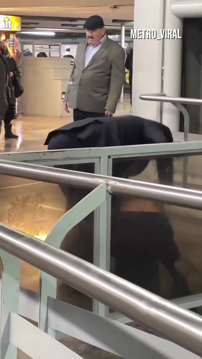 Un usuario del MetroCDMX habrรญa golpeado a un hombre por robarle su telรฉfono celular en un transbordo de la #LรญneaB, que va de #Buenavista a #CiudadAzteca. De acuerdo con el reporte en redes sociales, no habรญa policรญas cerca. Asรญ fue la agresiรณn:
