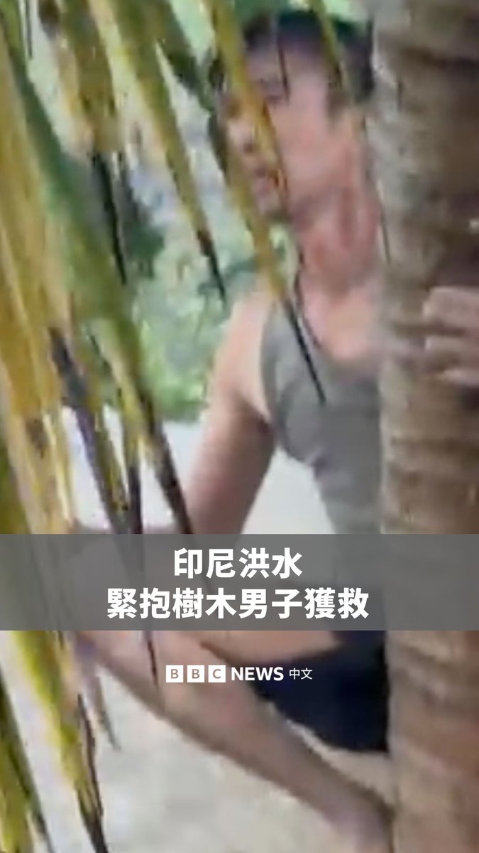 印尼气旋降雨引发毁灭性洪水袭击，东南亚地区已有超过500人死亡、数百人受伤。目前救援工作仍在持续，画面显示，一名男子在洪水中紧抱树木，被救援队成功拯救。