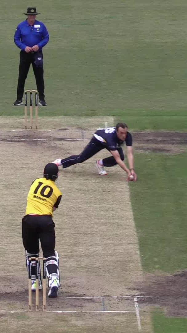You're the third umpire. Out or not out? 🤔 #OneDayCup