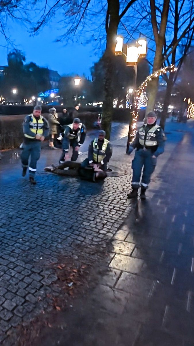 Någon ryckte åt sig transaktivisten “Malin” Lääkkös alla flaggor – alltså Israels och Sveriges flaggor samt HBTQ-flaggan.