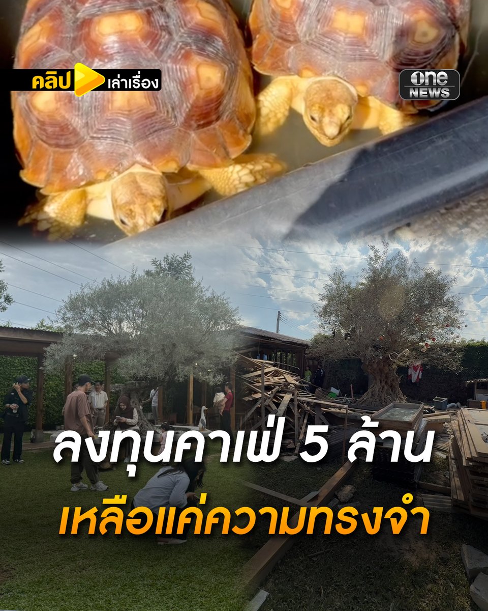 เจ้าของร่ำไห้! น้ำท่วมหาดใหญ่สาหัส คาเฟ่ที่สร้างมากับมือ ลงทุนไป 5 ล้าน ถูกน้ำซัด เหลือเพียงซาก ไม่รู้จะเดินหน้ายังไงต่อ . #สำนักข่าววันนิวส์ #น้ำท่วมหาดใหญ่ #น้ำท่วมใต้ #เกาะไม่ปล่อยน้ำท่วม68