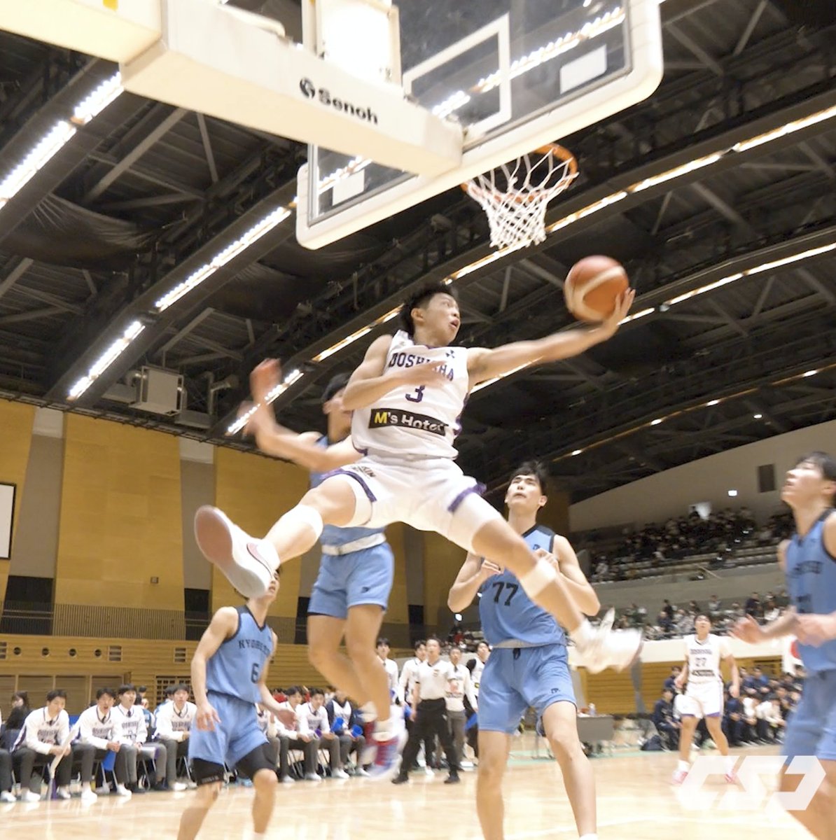 1年生ガードが見せたヤバいダブルクラッチ😱✈️ 田中 夢大(同志社大学1年/PG/172cm/洛南高) 【NEW】同志社大学体育会バスケットボール部 #インカレバスケ #大学バスケ