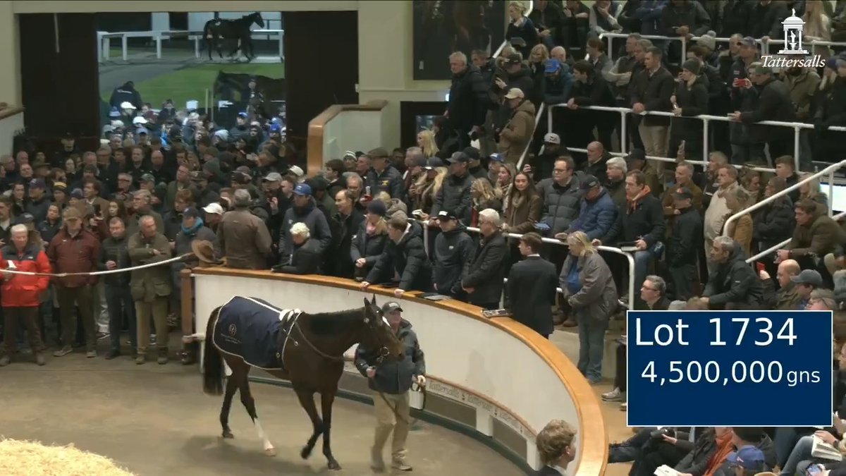 4,500,000gns for Porta Fortuna 🤩 MV Magnier buys the four-time Group 1 winning filly, sold by Taylor Made Farm at the #TattsDecember Mares Sale on behalf of Medallion Racing, Steve Weston, Dean Reeves & Barry Fowler. "Practically perfect in every way."