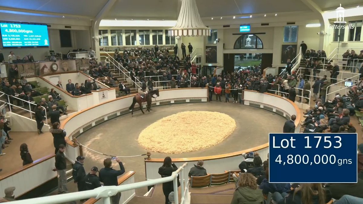 4,800,000gns makes Barnavara the highest priced filly in training in the world this year, going the way of Sugar Whiskey Trading. Last seen winning the Gr.1 Prix de l'Opera for Jessica Harrington, she was consigned by Baroda Stud at the #TattsDecember Mares Sale.