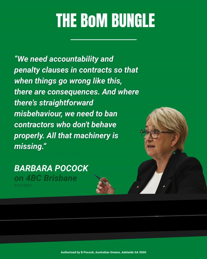 Disasters like the BoM website update exemplify exactly why we need to build capacity in the public service and reduce our over reliance on consultants. A robust public service will always provide better value for money and better quality for the taxpayer dollar.