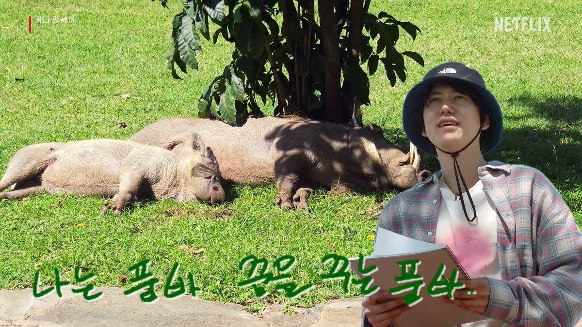 제목: 아프리카, 지은이: 조규현 전지적 품바 시점 규현이 활약합니다. <케냐 간 세끼>, 절찬 스트리밍 중.