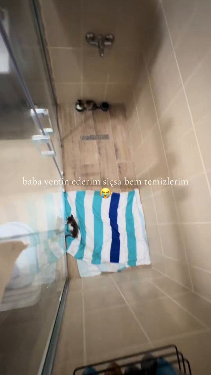 Sokaktan getirdiği yavru kedilerin evde kalması için babasını ikna etmeye çalışan ufaklık.