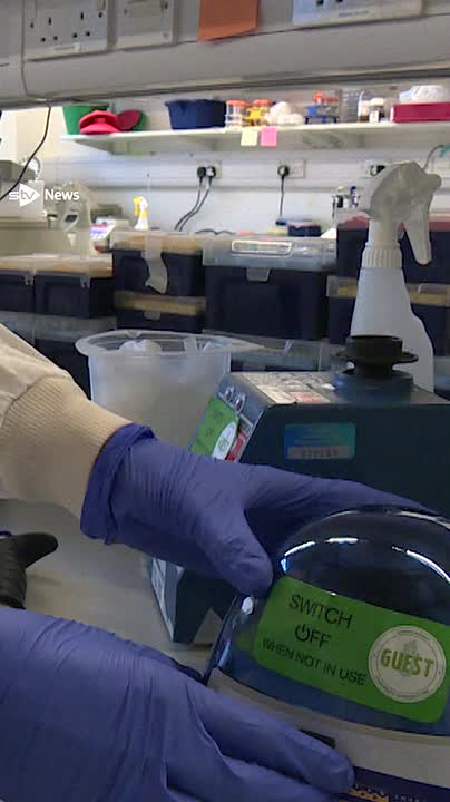 Scotland could be heading for its worst flu season in ten years.
