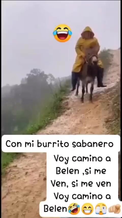 Así mi espíritu navideño…