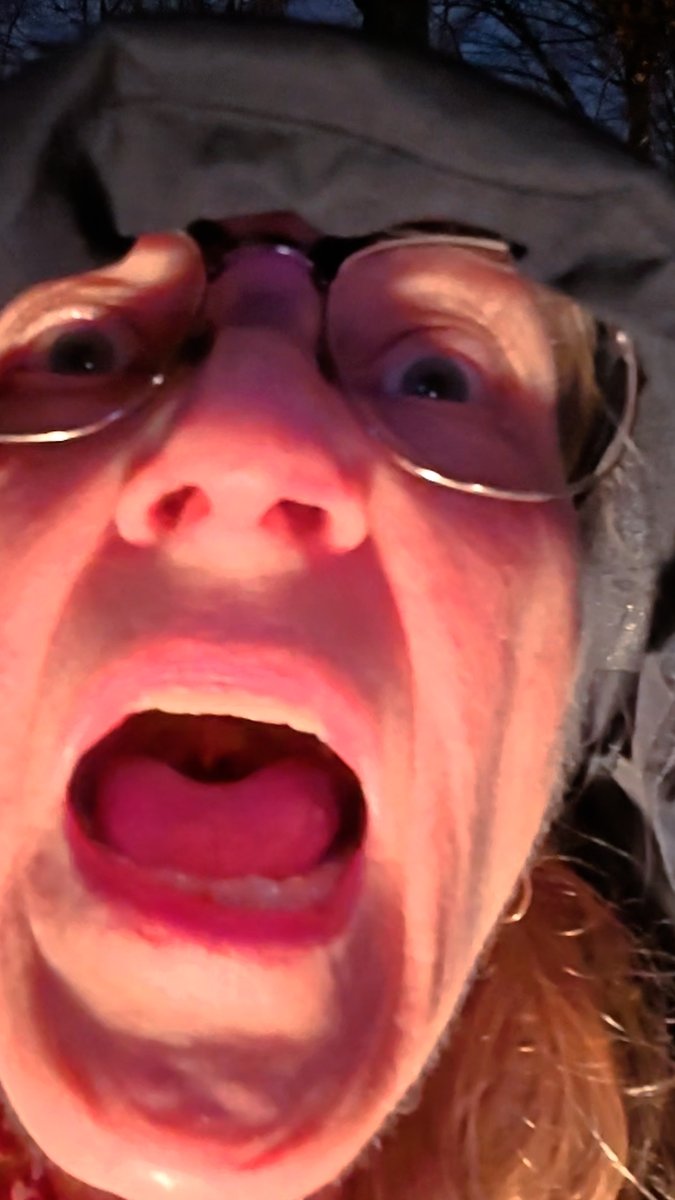A screaming far-left lunatic CHARGED AT ME yelling “No Nazis on our streets!”—close enough to smell her vegan lunch breath. Sweden closed all mental asylums in the ’70s. Just saying. 🇸🇪