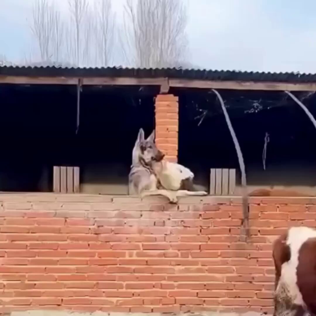 Best friends.. 😅