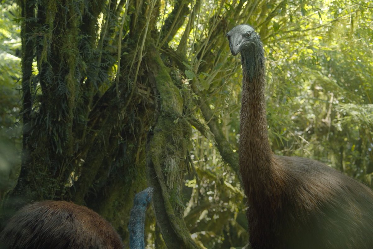 She loves a short king. #PrehistoricPlanetIceAge — Now Streaming