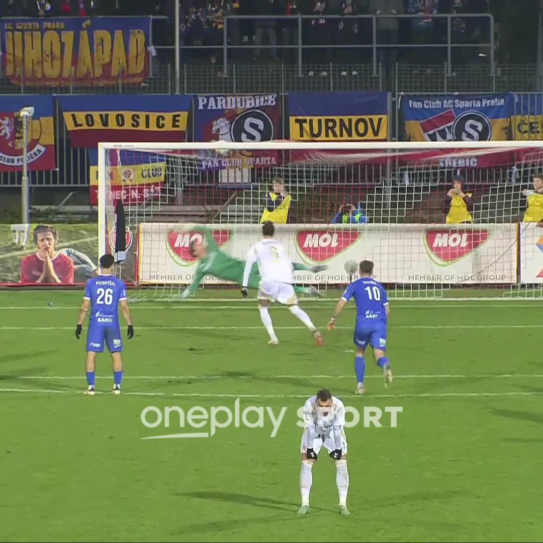 𝑨𝒍𝒃𝒊𝒐𝒏 rozhodl 👊