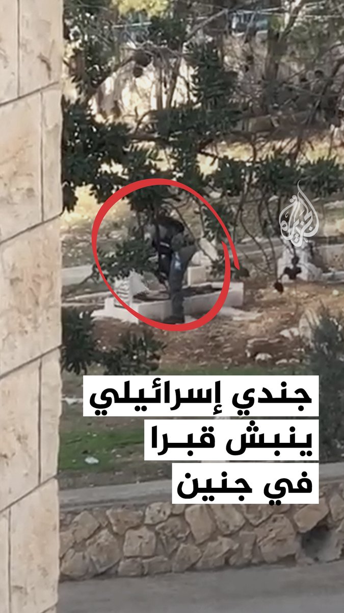 مشهد يظهر جنديا إسرائيليا أثناء نبشه أحد القبور، اليوم الأربعاء، داخل مقبرة في بلدة مسلية جنوب مدينة جنين في الضفة الغربية #فيديو
